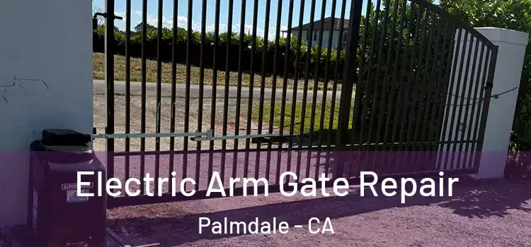 Electric Arm Gate Repair Palmdale - CA